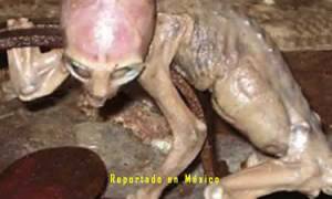 Alien_Messico